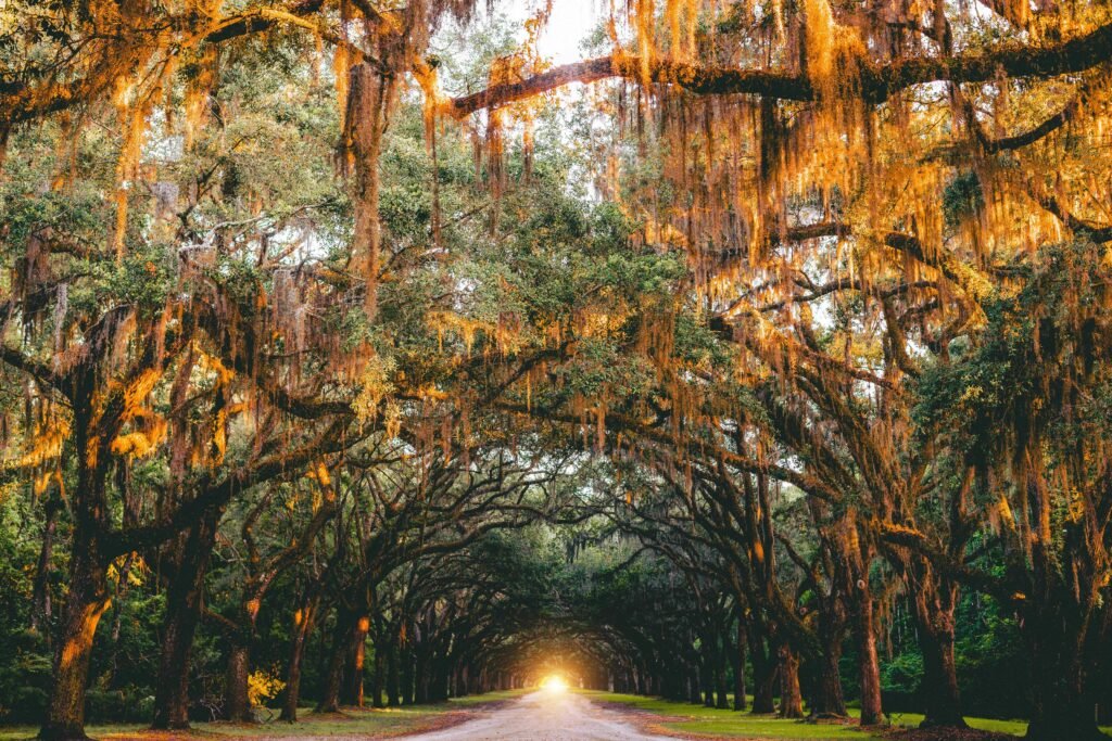 Savannah, GA, USA
